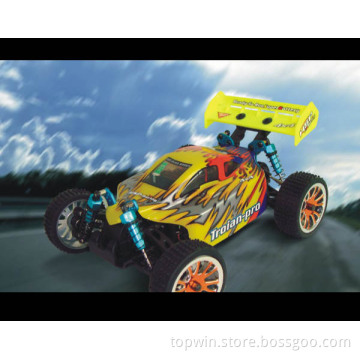 1/16th Scale Electric Powered Off Road Buggy(brushless motor) REC10185pro